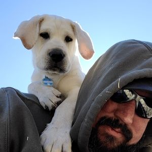 Meet your Posher, Shane